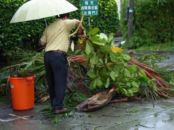 颱風過後環境整理-